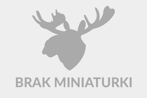Miniaturka