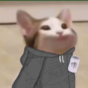 Avatar użytkownika