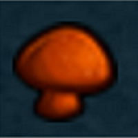 Avatar użytkownika