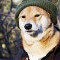 Avatar użytkownika
