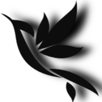 Avatar użytkownika
