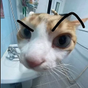 Avatar użytkownika