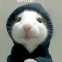 Avatar użytkownika