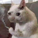 Avatar uživatele