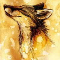 Avatar użytkownika
