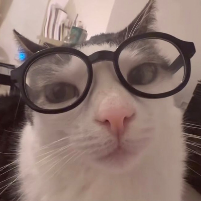 Avatar uživatele