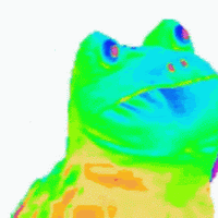 Avatar użytkownika