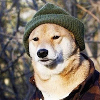 Avatar użytkownika