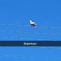 Avatar użytkownika
