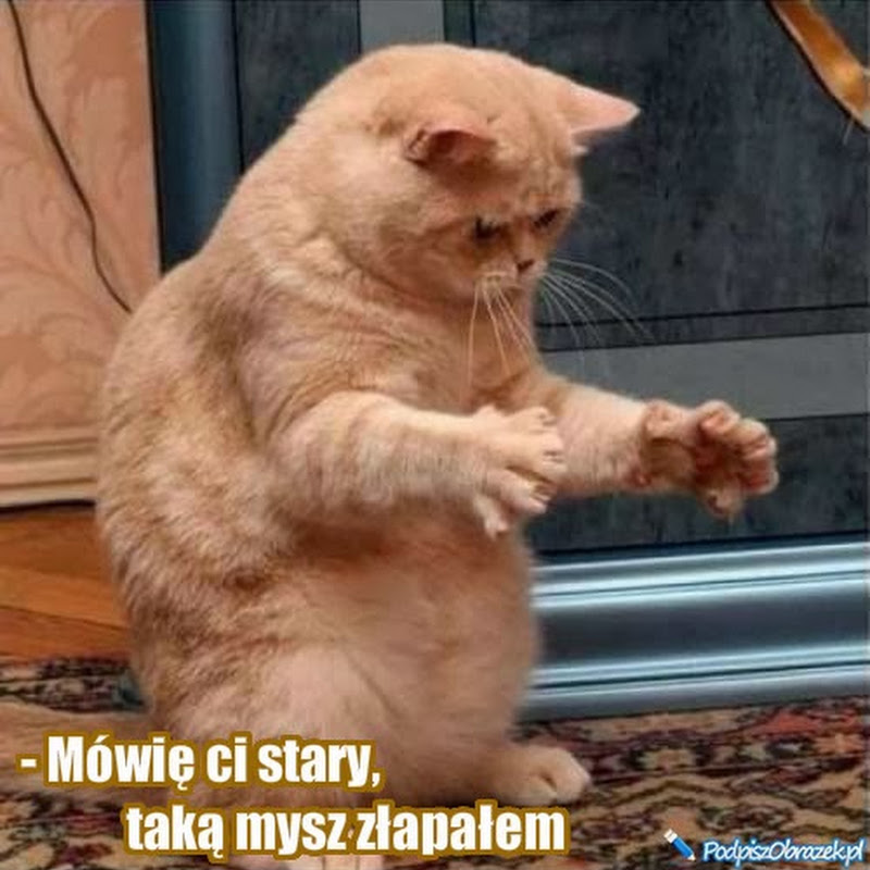 Avatar użytkownika