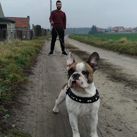 Avatar użytkownika