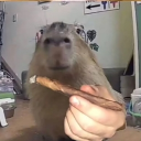 Avatar uživatele