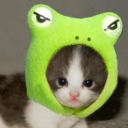 Avatar dell'utente