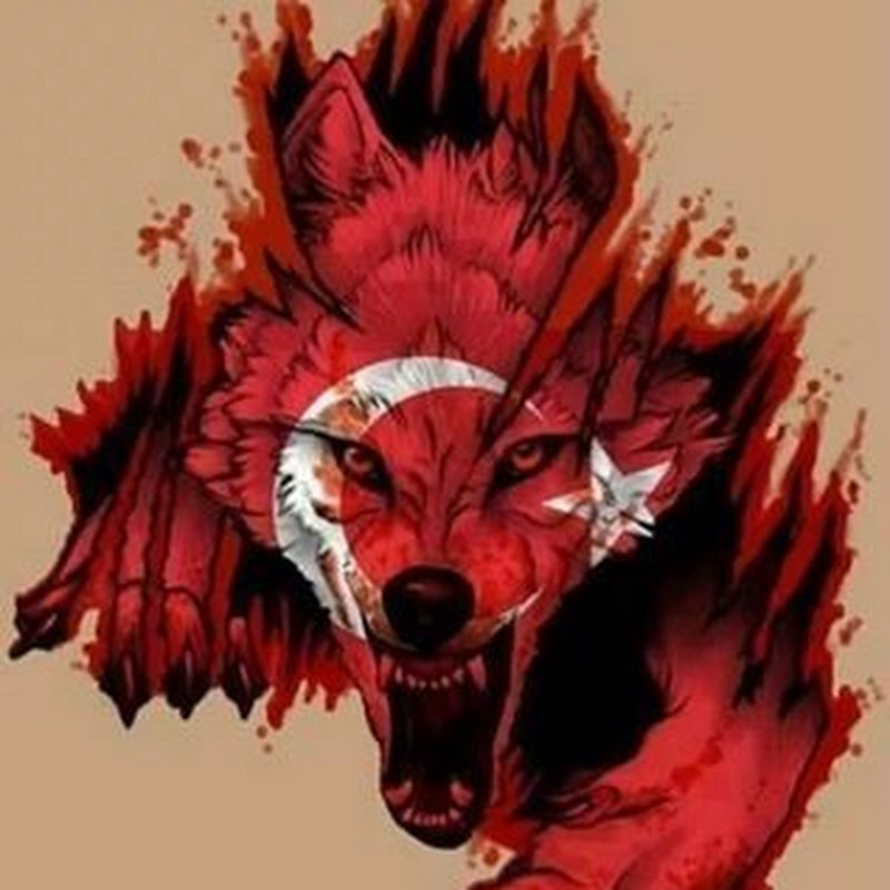 Avatar użytkownika