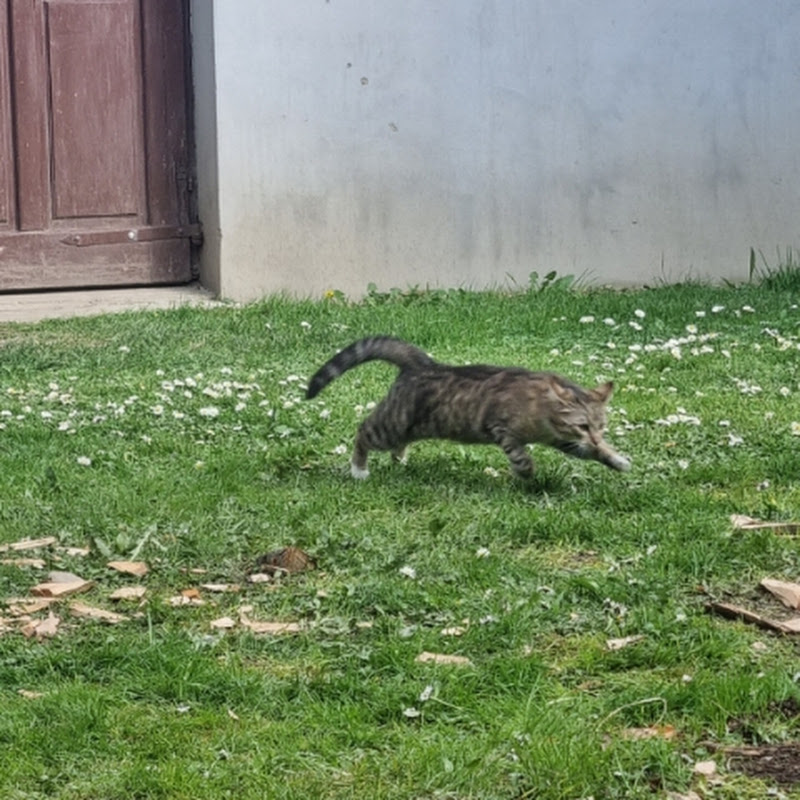 Аватар корисника