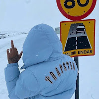 Avatarul utilizatorului