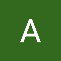Avatar użytkownika
