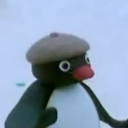 Avatar de l'utilisateur