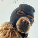 Avatar používateľa