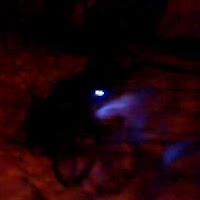 Avatar użytkownika