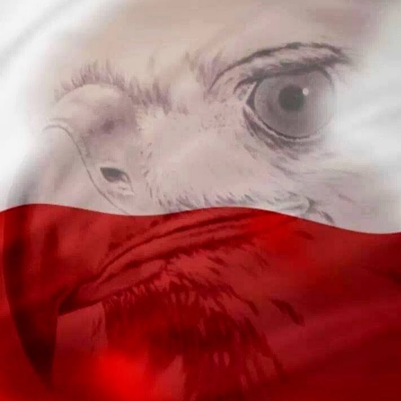 Avatar uživatele