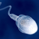 Avatar dell'utente