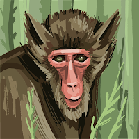 Avatar użytkownika