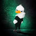 Avatar użytkownika