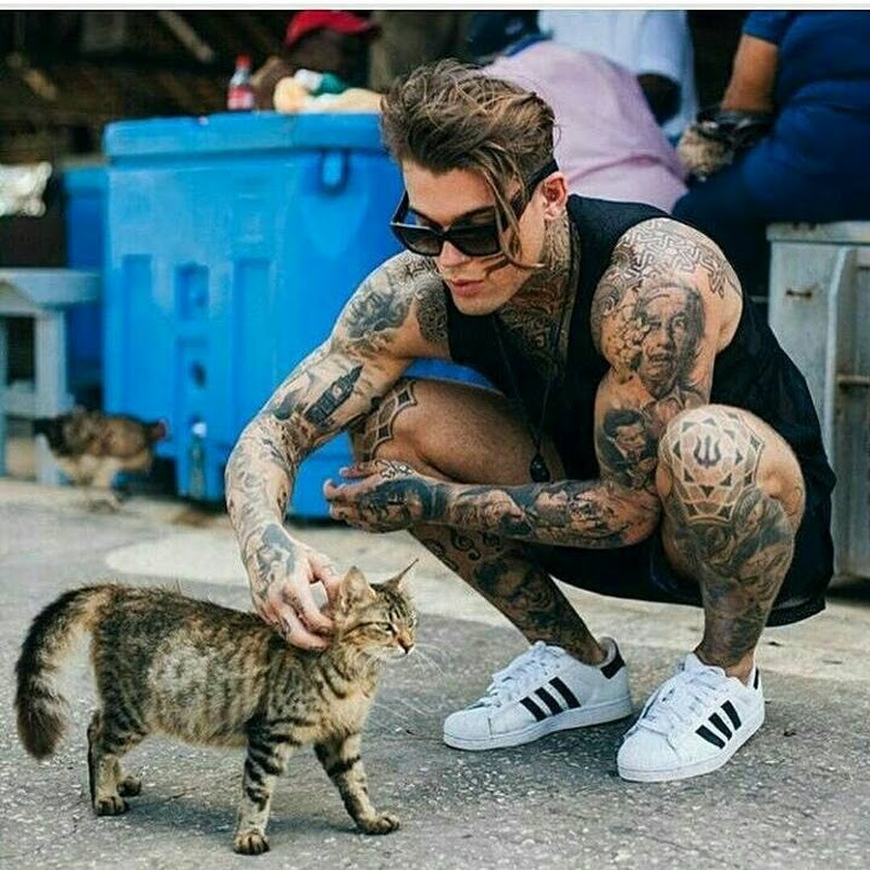 Avatar