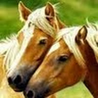Avatar uživatele