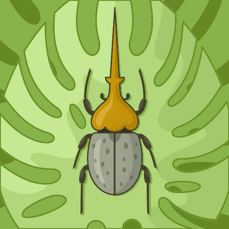 Avatar użytkownika
