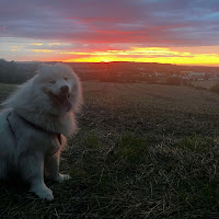 Avatar użytkownika