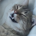 Avatar uživatele
