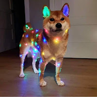 Avatar użytkownika