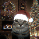 Avatar użytkownika