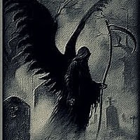 Avatar użytkownika