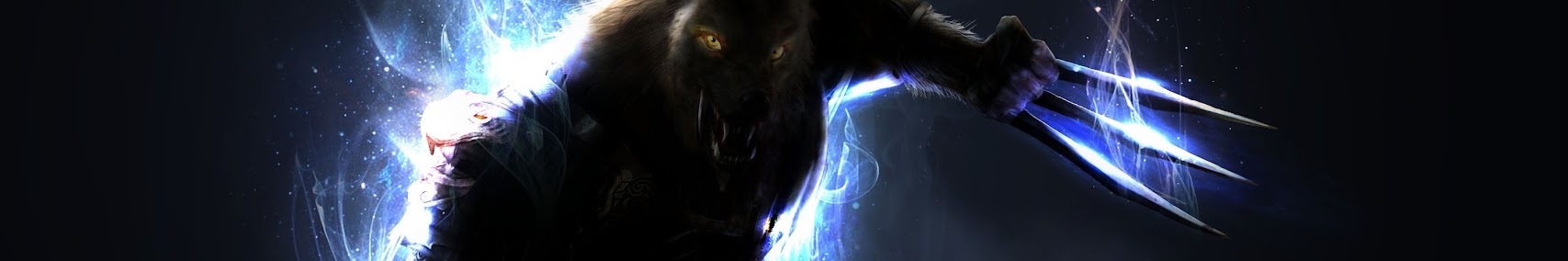 Banner użytkownika