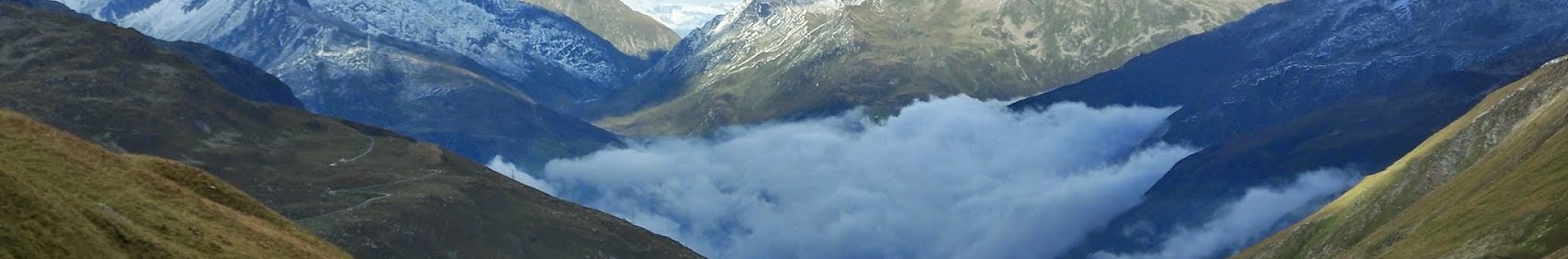 Banner użytkownika