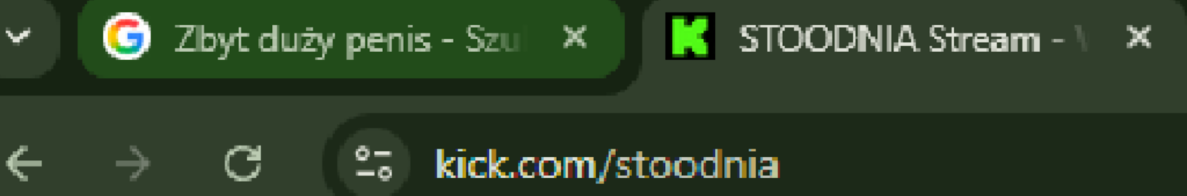 Banner użytkownika