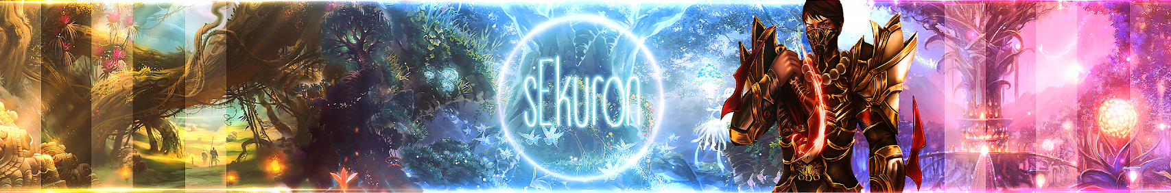Banner użytkownika