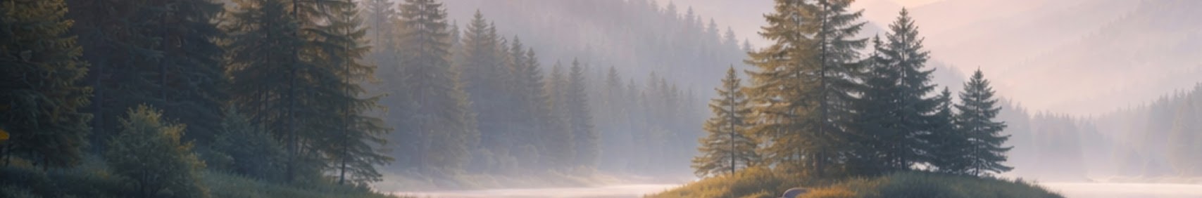 Banner użytkownika