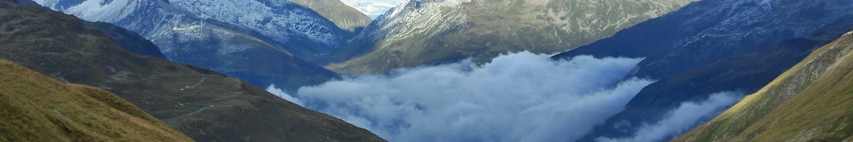 Banner użytkownika