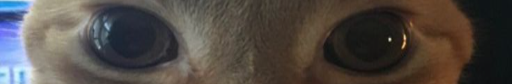 Banner użytkownika