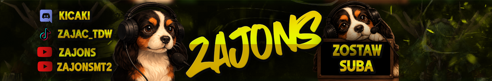 Banner użytkownika