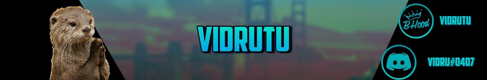 Banner użytkownika
