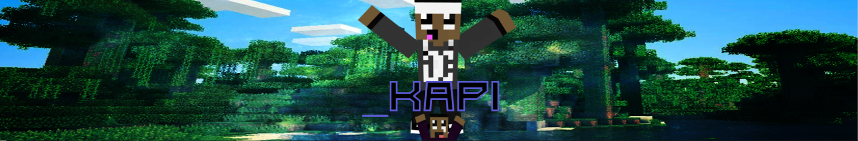 Banner użytkownika