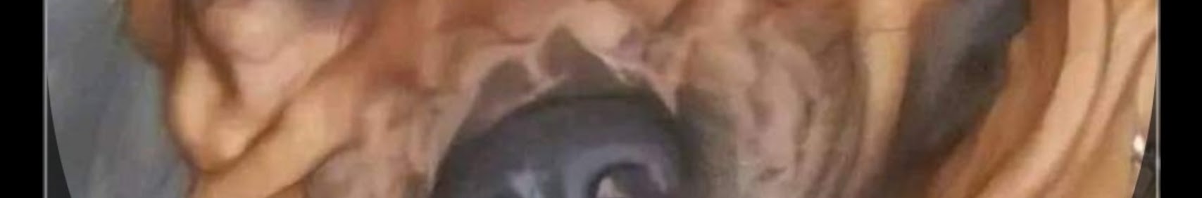 Banner użytkownika