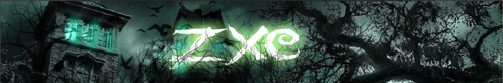 Banner użytkownika