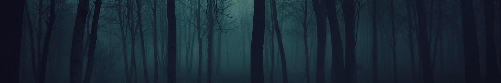 Banner utente