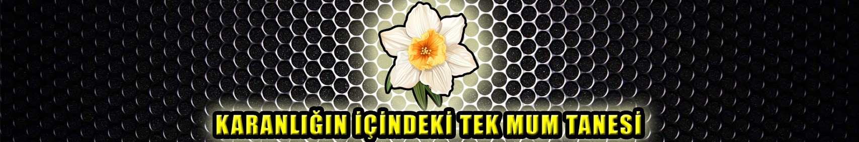 Banner użytkownika